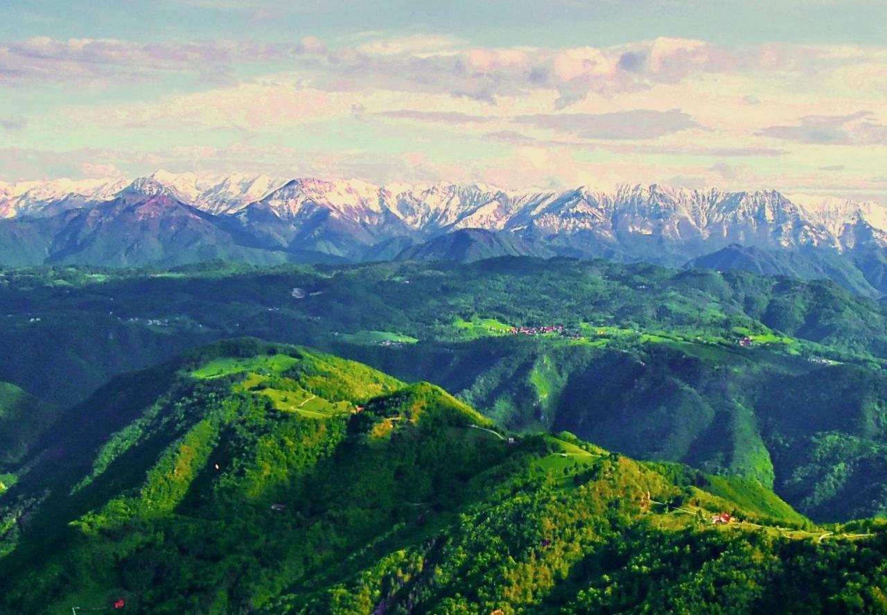 Apartma Alpski Vrt Vojsko Bagian luar foto