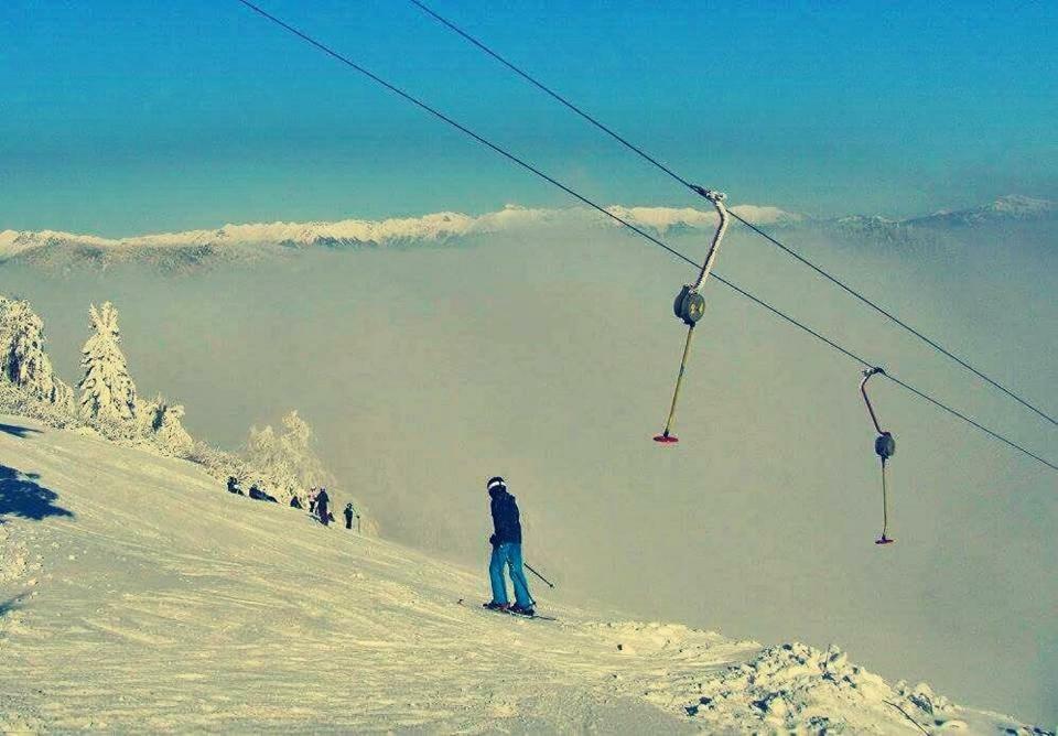 Apartma Alpski Vrt Vojsko Bagian luar foto
