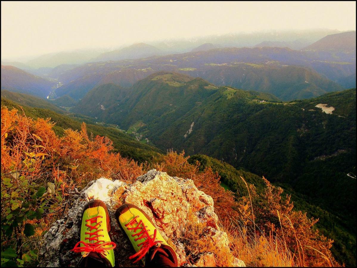 Apartma Alpski Vrt Vojsko Bagian luar foto