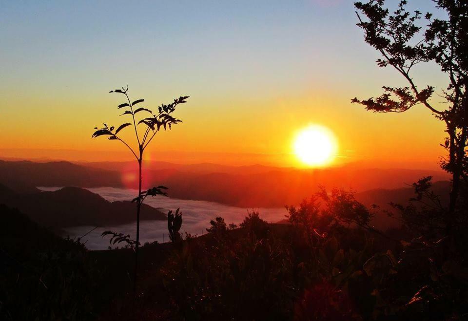Apartma Alpski Vrt Vojsko Bagian luar foto